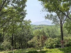 -北宫国家森林公园