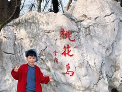 -金鸡湖桃花岛