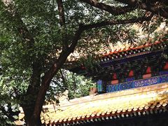 -北京国子监胡同