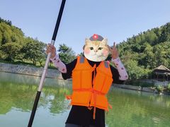 -杨家寨
