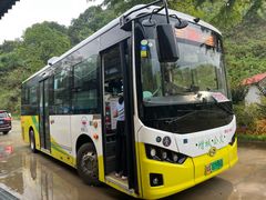 -广州白江湖森林公园