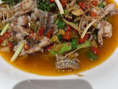 -羊门客在·烤盐池滩羊·川菜