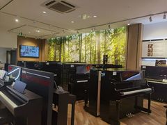 -柏斯琴行(汾阳店)