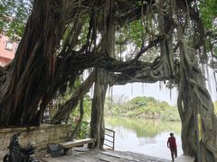 -小洲村