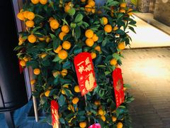 -三号黄浦会Canton Table