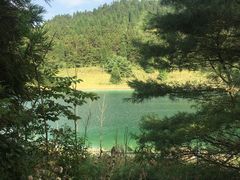 -武陵山森林公园