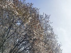 -城市运动公园(未央区)