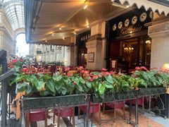 -埃马努埃莱二世拱廊