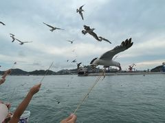 -海驴岛(荣成市)