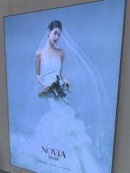 -金夫人婚纱摄影(总店)