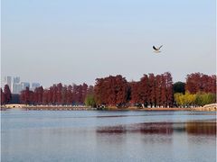 -东湖落雁景区