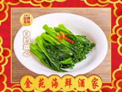 白灼菜心-金苑海鲜酒家(新港中路店)