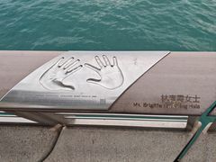 -星光大道
