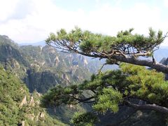 -老界岭旅游度假区