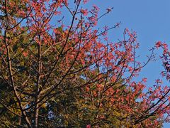 -火炉山森林公园