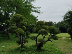 -荔枝公园(福田区)