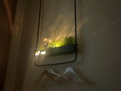 -新紫霞养生·影院足道·SPA(金山区店)