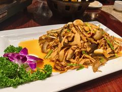 -金龙寨(解西店)