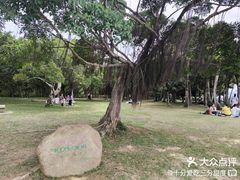 -深圳湾公园(南山区)