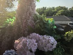 -王歘歘·chuǎ火锅(五道营店)