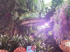 -正佳雨林生态植物园