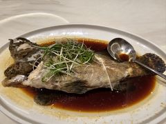 -金河半岛园林酒家(金融城店)