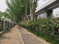 -堤角公园