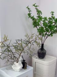 -变美丽半永久纹眉连锁·机器野生眉·洗眉