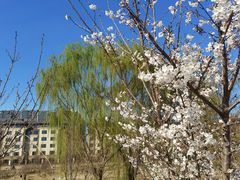 -马家湾湿地公园
