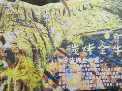 -横沥牛庄(总店)