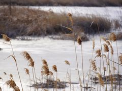 -野鸭湖国家湿地公园