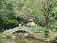 -深圳国际园林花卉博览园