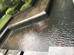 -北京希尔顿逸林酒店
