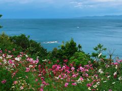 -滨千鸟之汤 海舟