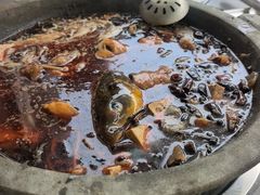-秦巴石锅鱼