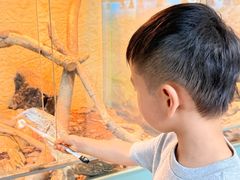 -上海大自然野生昆虫馆(东方明珠·爬宠昆虫探索中心)