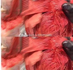 -MYYF SALON烫发染发