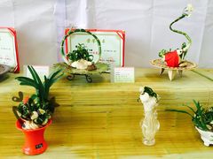 -龙大花卉苗木市场