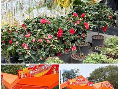 -文华公园(禅城区)