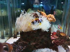 -太平洋海底世界