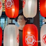 问冬｜终日沉迷茶话弄无法自拔