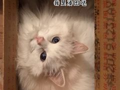 -北京稻香村(花市店)