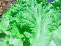 -马路牙子地桌烤肉(工体店)
