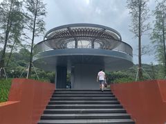 -银湖山郊野公园-相思林