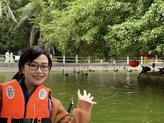 -广东茂名森林公园