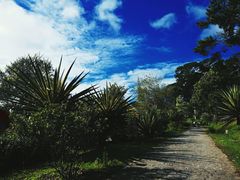 -芽庄洲际酒店自助餐厅