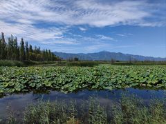 -野鸭湖国家湿地公园