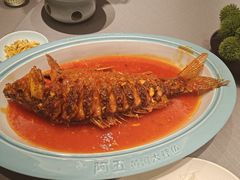 -阿五黄河大鲤鱼(英协路店)