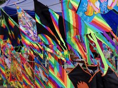 -成都泰迪熊博物馆