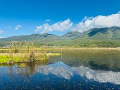 -腾冲北海湿地
